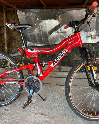 Bicicletta