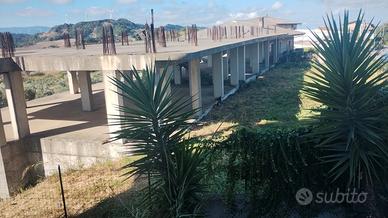 Struttura in cemento armato