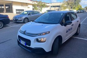 C3 van molto compatto ed economico nei consumi