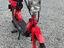 Immagine 3
