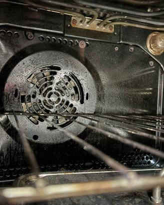 Forno rex