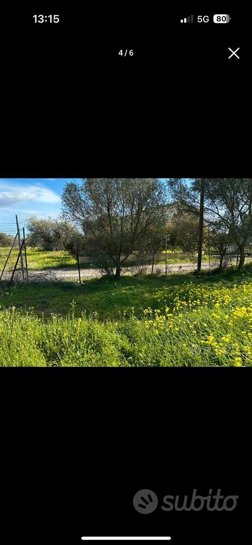 Terreno agricolo - Vista 3