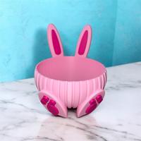 Coniglietto porta cioccolatini