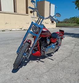Dyna CVO S110. ScreaminEagle Permuto