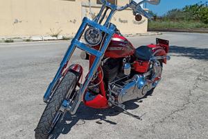 Dyna CVO S110. ScreaminEagle Permuto
