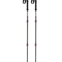 Bastoncini trekking SUMMIT POLES

FUJI CARBON - 