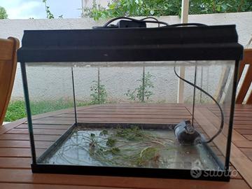 Acquario/terrario