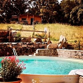 Casa vacanze con piscina, Nord Sardegna