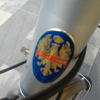 Bicicletta Bianchi Spillo