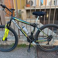 Mountain bike Röllmar 29”