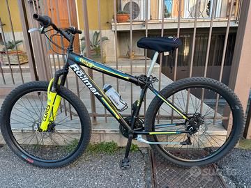 Mountain bike Röllmar 29”