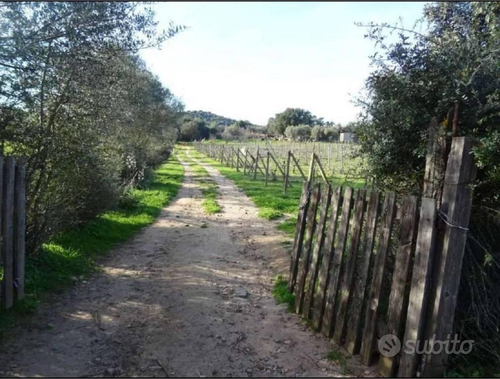 Immobile in asta di 2270 m² a Olbia - Vista 4