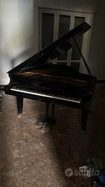 Bechstein pianoforte a coda