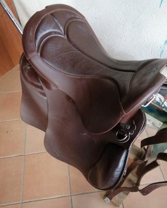 sella Pioneer