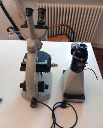 microscopio zeiss