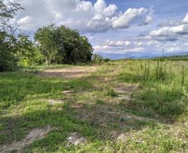 Lotto terreno agricolo e terreni con arbusti