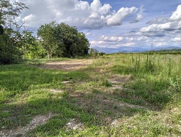 Lotto terreno agricolo e terreni con arbusti