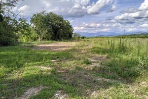 Lotto terreno agricolo e terreni con arbusti