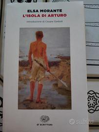 Libro "L'isola di Arturo"