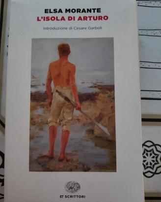 Libro "L'isola di Arturo"