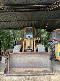Pala gommata 444C