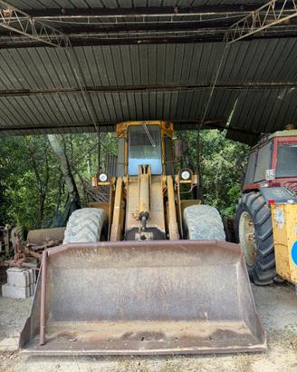 Pala gommata 444C