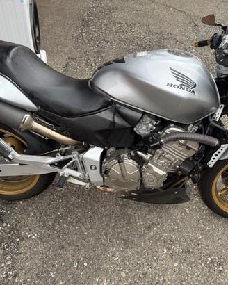 Honda Hornet