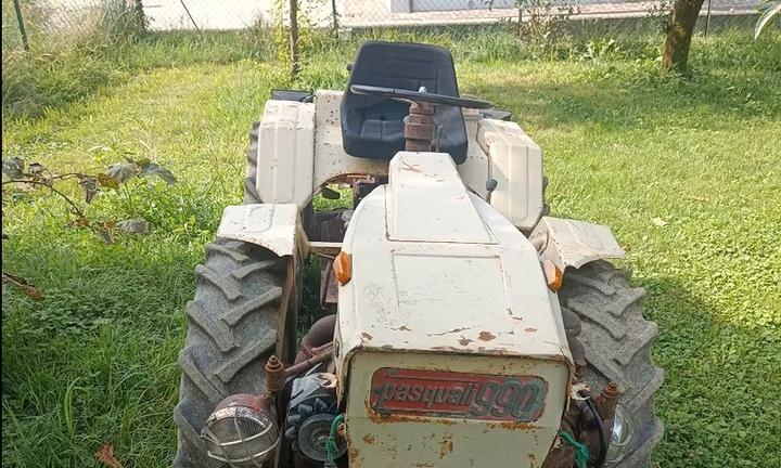 Trattore pasquali 990 + fresa pasquali