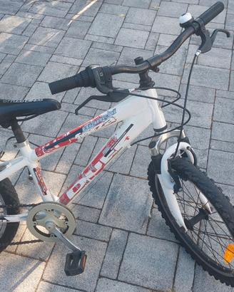 Bicicletta bambino bianchi 20"