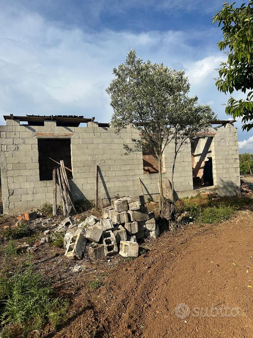 Terreno agricolo - Vista 4