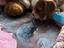 Immagine 6