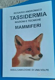 Libro di tassidermia imbalsamazione di una volpe