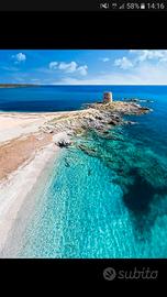 Sardegna vacanze
