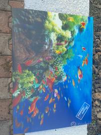 cartolina grande in 3D