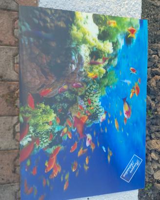 cartolina grande in 3D