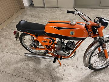 Motorini