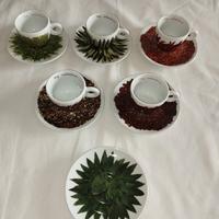 Illy Collection Francis Ford Coppola 2000