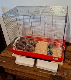 Gabbia criceti o roditori