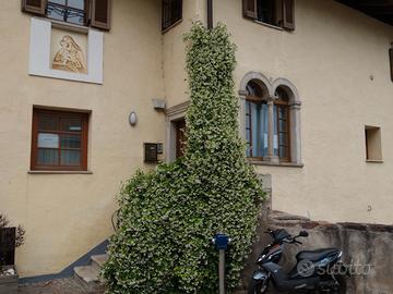 Appartamento belle arti a Caldaro