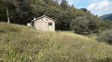 Rustico