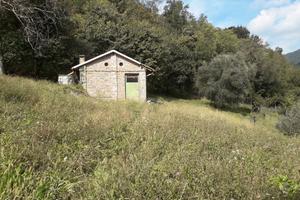 Rustico