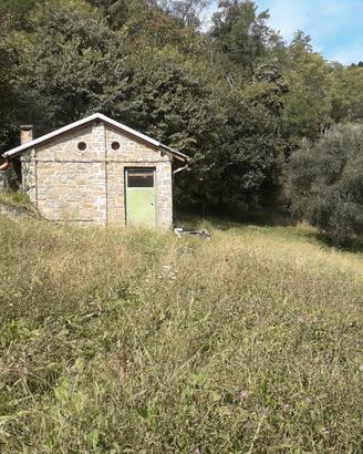 Rustico