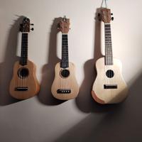 Liutaio e costruttore di strumenti musicali