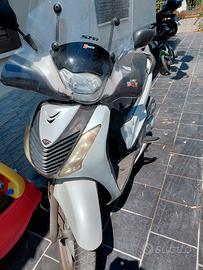 sh polacco 