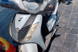 sh polacco 