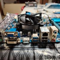Scheda madre gigabyte e cpu