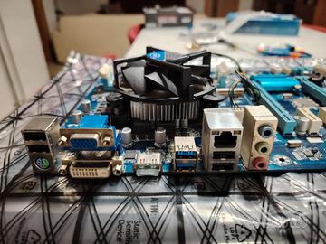 Scheda madre gigabyte e cpu