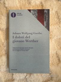 I dolori del giovane Werther, Goethe