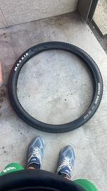 Gomma maxxis ardent race 29