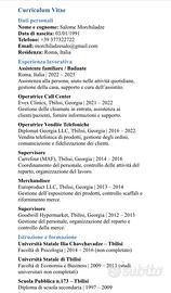 Assistenza anziani, Babysitter